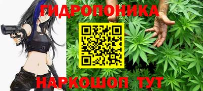 мдпв Лесосибирск