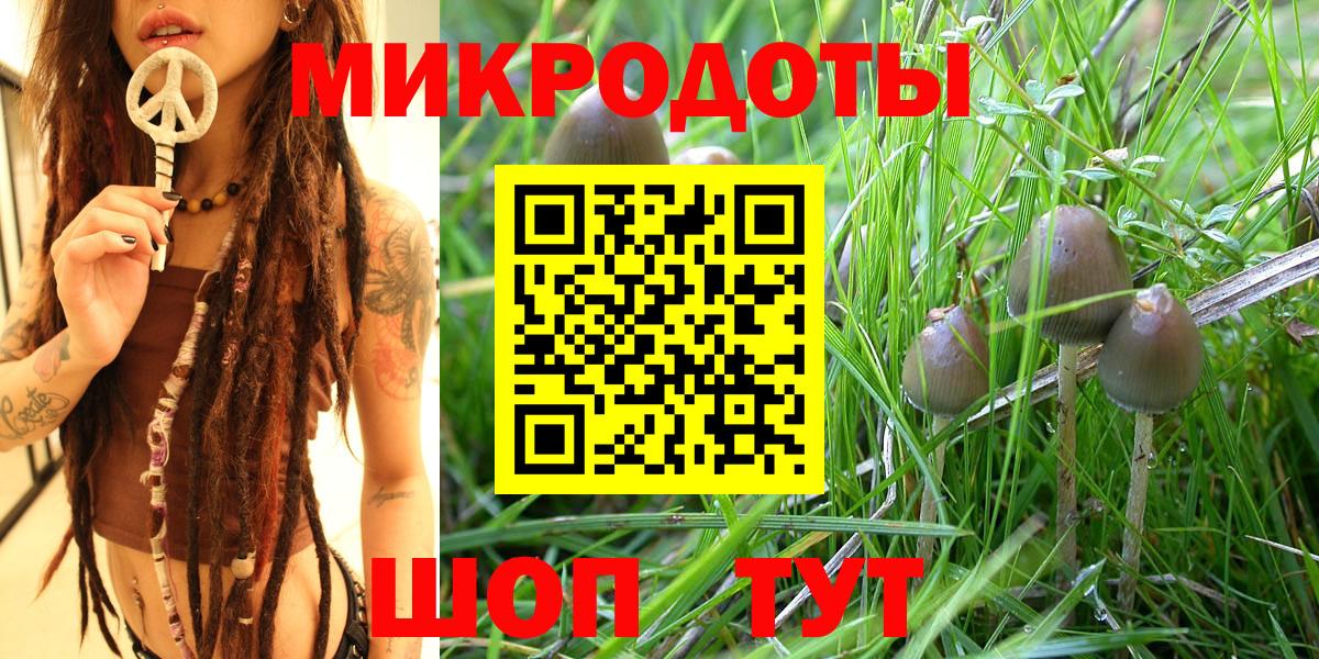 Псилоцибиновые грибы мухоморы Губкинский
