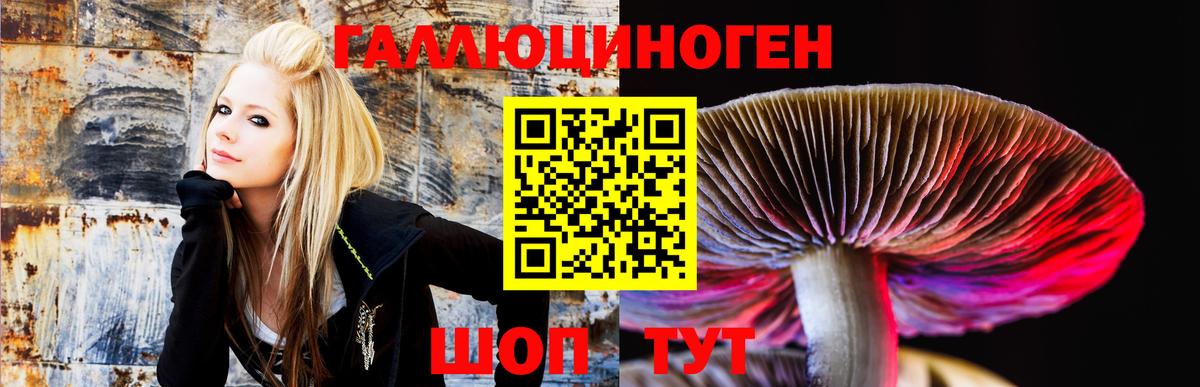 Галлюциногенные грибы ЛСД  Галлюциногенные грибы Psilocybe  Губкинский  Вход с VPN 